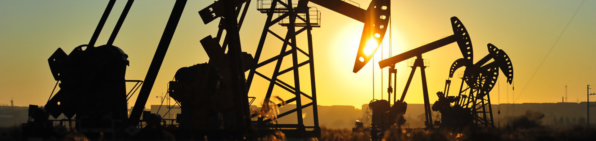 行业标杆，享誉全球！